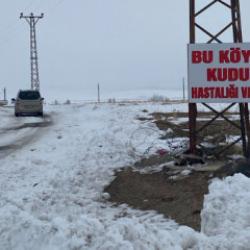 Bitlis'te kuduz alarmı: Bir k&ouml;y karantinaya alındı