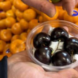 Aşerenler sıraya girdi! Tanesi 250 lira ama kapış kapış gidiyor!