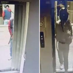 Asans&ouml;re idrarını yapıp &ccedil;atıdaki kuşları &ccedil;alan hırsız kamerada