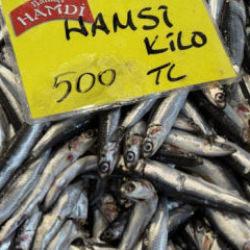 Balıkta yokluk senesi! Kilosu 250 TL&rsquo;den başlıyor