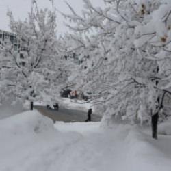 Bitlis'te 111 k&ouml;y yolu kardan kapandı