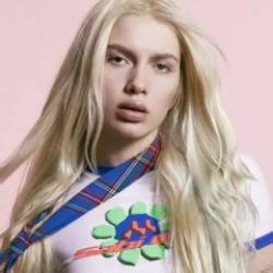 Tilki'nin avukatından pes dedirten 'duman' savunması!