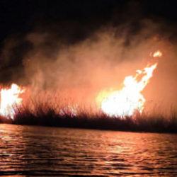 Hatay'da korkutan yangın: Milleyha Kuş Cenneti alevlere teslim oldu
