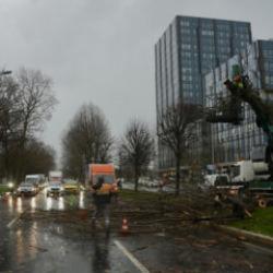 İstanbul'da korkutan anlar: Yoldan ge&ccedil;en ara&ccedil;ların &uuml;zerine ağa&ccedil; devrildi!