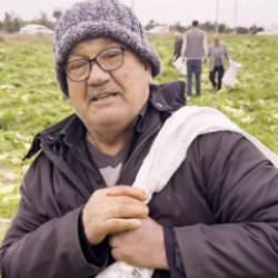 Maliyetini karşılayamayan &ccedil;ift&ccedil;i, &uuml;r&uuml;nlerini bedavaya dağıttı! 