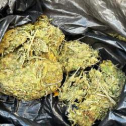 Polis ekiplerinin durdurduğu ara&ccedil;tan 50 gram esrar &ccedil;ıktı!