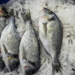 Su &uuml;r&uuml;nlerinde Cumhuriyet tarihinin rekoru! 93 &uuml;lke sıraya girdi! 