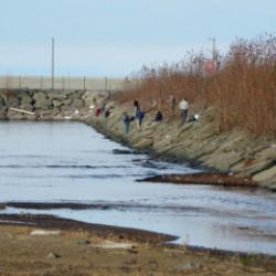 Rize'de ilgin&ccedil; olay: Duyan duymayana duyurdu! Herkes kıyıya akın etti