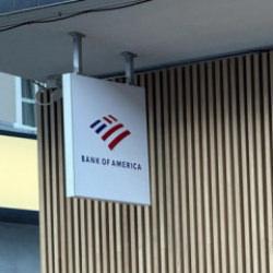 Bank of America'dan dolar tahmini: Bu yıl değer kaybı bekleniyor