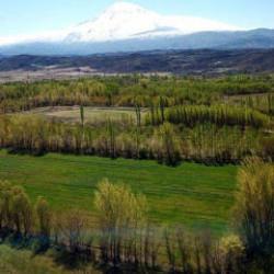 2B arazilerinde başvuru ve &ouml;deme s&uuml;resi uzatılıyor