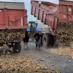 Fransız &ccedil;ift&ccedil;iler Meclis binasının &ouml;n&uuml;ne 30 ton patates d&ouml;kt&uuml;