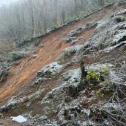 D&uuml;zce'de vatandaş diken &uuml;st&uuml;nde: Muhtar k&ouml;y&uuml; terk edin &ccedil;ağrısında bulundu