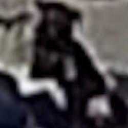 Antalya'da beslediği k&ouml;peğin saldırısına uğrayan kişi yaralandı