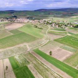 Arazi yatırımcısı 4 şehir hari&ccedil; 2025'te kaybetti