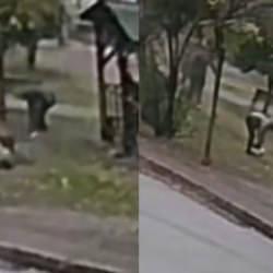 K&ouml;peğiyle y&uuml;r&uuml;y&uuml;şe &ccedil;ıkan kadına iki kurt k&ouml;peği saldırdı