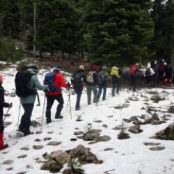Beyaza b&uuml;r&uuml;nen Armutoluğu Yaylası dağcılık tutkunlarını ağırlıyor
