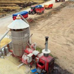 Sinop'ta 9 milyon lira maliyetle &ccedil;eltik kurutma tesisi kurulacak