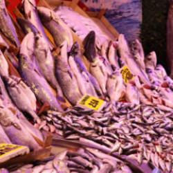 Soğuk havalar, balık tezgahlarını da vurdu