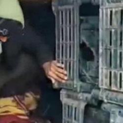 TIR'ın dorsesindeki kasaların arkasında 14 ka&ccedil;ak g&ouml;&ccedil;men yakalandı