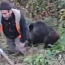 Trabzon'da ava giderken avlandılar! Yaşlı avcı canını zor kurtardı