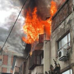 T&uuml;rkiye'de bir ilkti: G&uuml;vercin otelinde 100'den fazla kuş telef oldu