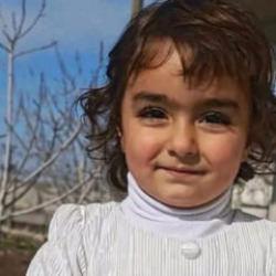 Evinin &ouml;n&uuml;nde oynayan k&uuml;&ccedil;&uuml;k Nazlı'yı sokak k&ouml;pekleri par&ccedil;aladı