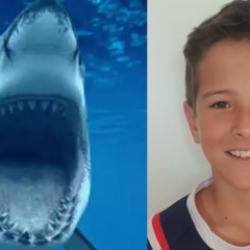 K&ouml;pekbalığı 12 yaşındaki &ccedil;ocuğu &ouml;ld&uuml;rd&uuml;