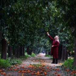 Antalya&rsquo;nın en renkli rotası: Turun&ccedil; Yolu, kış turizmine renk katıyor