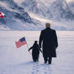 Beyaz Saray'ın paylaşımı alay konusu oldu: Penguenlere sınır dışı mı ediyorsunuz?