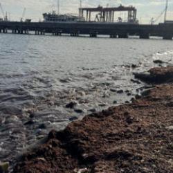 Sahil bir anda kırmızıya d&ouml;nd&uuml;: K&ouml;t&uuml; kokuya neden oldu!