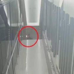 Bursa'da molotoflu saldırı: Su&ccedil; &ouml;rg&uuml;t&uuml; &uuml;yesi 8 ş&uuml;pheli yakalandı