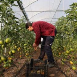 Devlet desteğiyle kendi işlerinin sahibi oldular, &uuml;retime başladılar