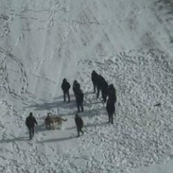 Nevşehir'de k&ouml;pek d&ouml;v&uuml;şt&uuml;renlere jandarmadan havadan baskın