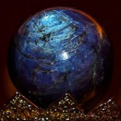 'T&uuml;r&uuml;n&uuml;n tek &ouml;rneği' dediler! Bir avu&ccedil; kadar ama değeri 300 milyon doları aşıyor!