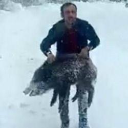 Sinop'ta elleriyle domuz yakalayan adama kesilen cezada yeni gelişme