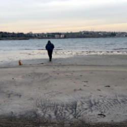 Tekirdağ'da denizdeki hareketlilik b&ouml;lge halkını tedirgin etti