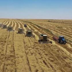 Yem sanayicilerinden yeni karar! Fiyatlar sabit kalacak