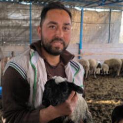 2 kafası, 4 g&ouml;z&uuml; var! Besici g&ouml;rd&uuml;ğ&uuml; karşısında şok oldu