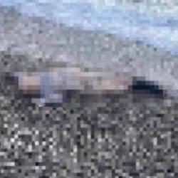 İzmir'de sır olay: Sahile vurmuş &ccedil;ocuk cesedi bulundu