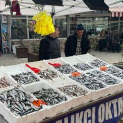 Tezgahlarda hamsi d&ouml;nemi başladı: İşte g&uuml;ncel balık fiyatları