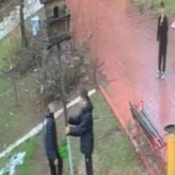 Bunu neden yaptınız? Parktaki kuş yuvasını par&ccedil;aladılar