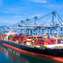 Cumhuriyet tarihinin rekoru kırıldı! Limanlarda son durum