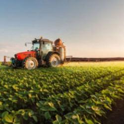 Ege B&ouml;lgesi'nin 2025'teki tarım &uuml;r&uuml;nleri ihracatı 7,5 milyar dolara ulaştı