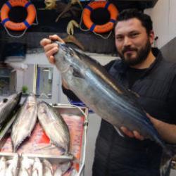 &Ccedil;anakkale'de torik tezg&acirc;hlara ge&ccedil; geldi: Fiyatı duyan iki kez d&uuml;ş&uuml;nd&uuml; 