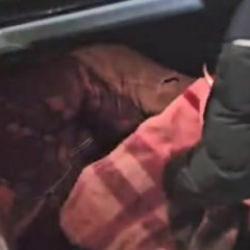 Kars'ta ara&ccedil;ların bagajında 2 d&uuml;zensiz g&ouml;&ccedil;men yakalandı!