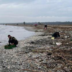 Mersin'de ilgin&ccedil; olay: Duyan duymayana duyurdu! Herkes kıyıya akın etti