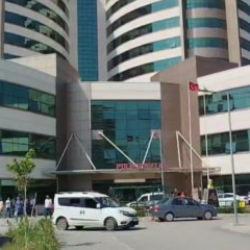 Mersin'de sokak k&ouml;peği dehşeti: 2 yaşındaki bebeğe saldırdı