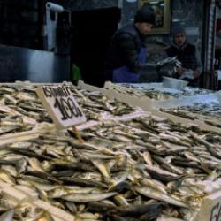 Trabzon'da balık&ccedil;ı tezgahlarında istavrit ilgi g&ouml;r&uuml;yor