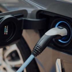 T&uuml;rkiye Avrupa'da en b&uuml;y&uuml;k 4'&uuml;nc&uuml; pazar: 190 bin adet satıldı