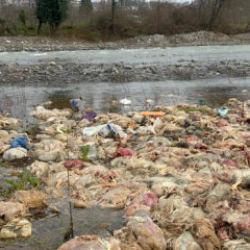 Zonguldak'ta &ccedil;ay kenarına inenler korkutan tavuk manzarasıyla karşılaştı